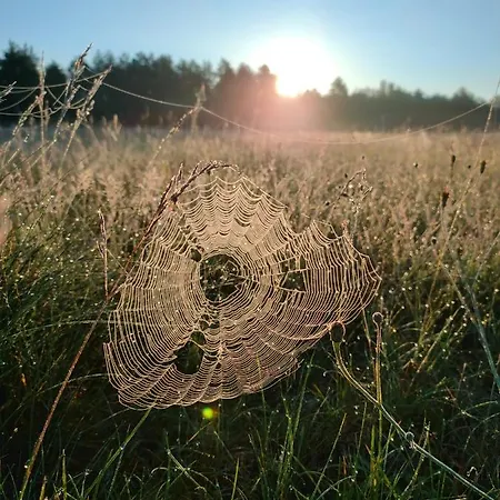 Zakatek Wdzydze Nad Samym Jeziorem - Pierwsza Linia Ferienhaus