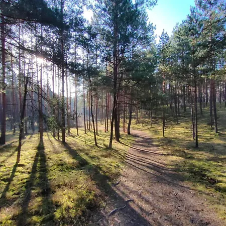 Zakatek Wdzydze Nad Samym Jeziorem - Pierwsza Linia