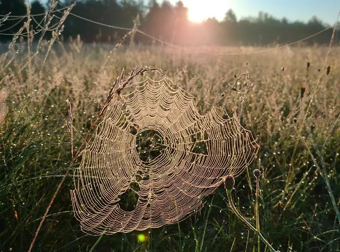 Zakatek Wdzydze Nad Samym Jeziorem - Pierwsza Linia Дом отдыха