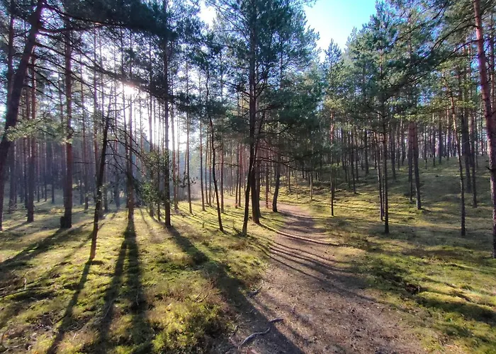 Zakatek Wdzydze Nad Samym Jeziorem - Pierwsza Linia